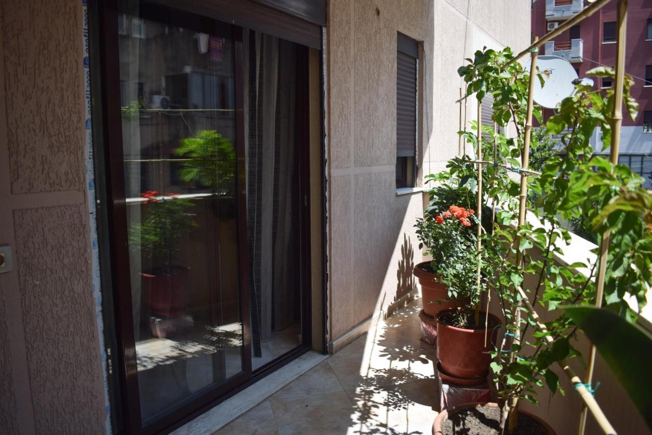 New Apartment Zoe Shkoder Ngoại thất bức ảnh